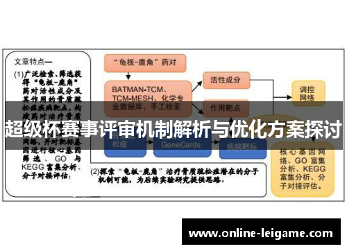 超级杯赛事评审机制解析与优化方案探讨