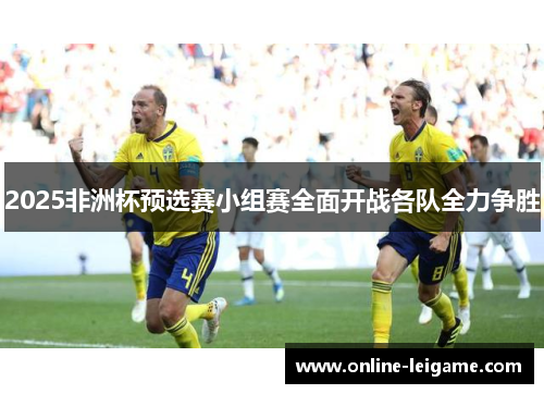 2025非洲杯预选赛小组赛全面开战各队全力争胜